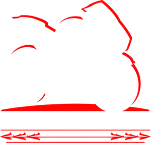 Full Motors